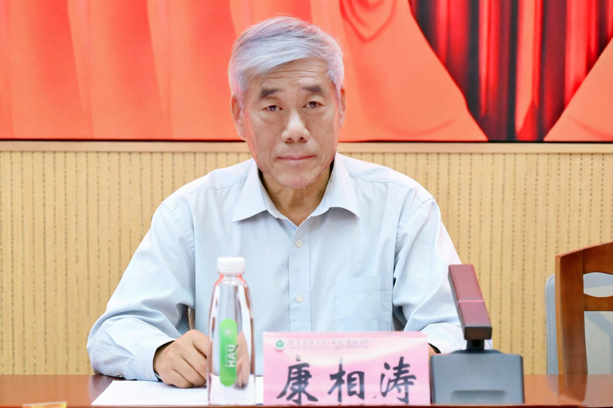 投注平台