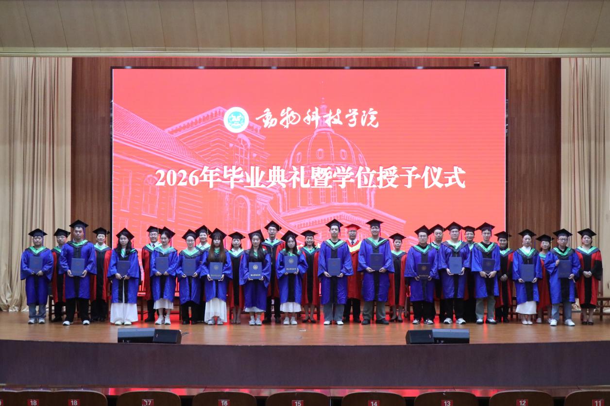 投注平台