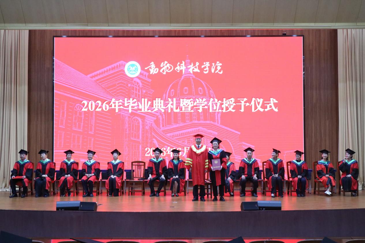 投注平台