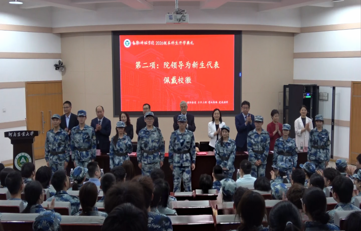 投注平台