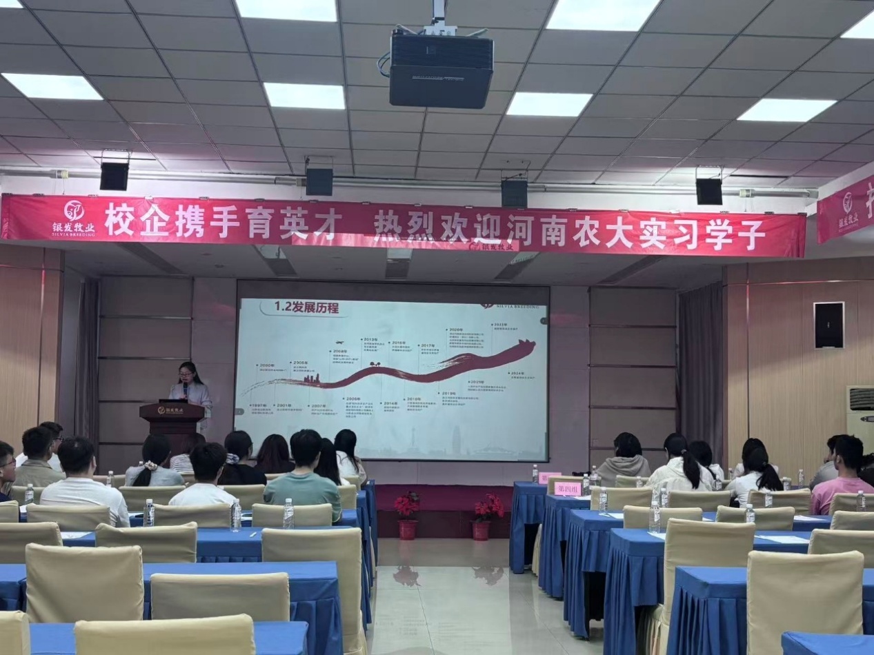 投注平台