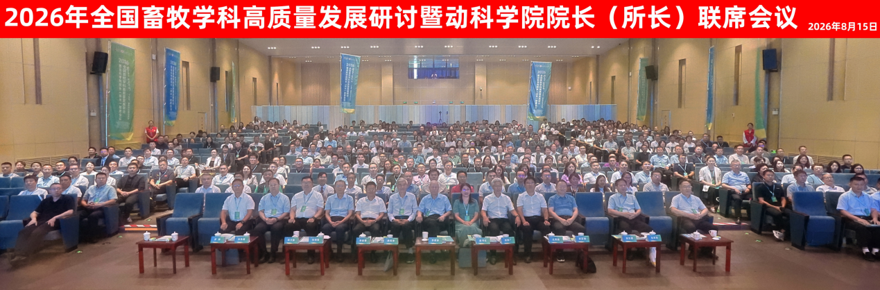 投注平台