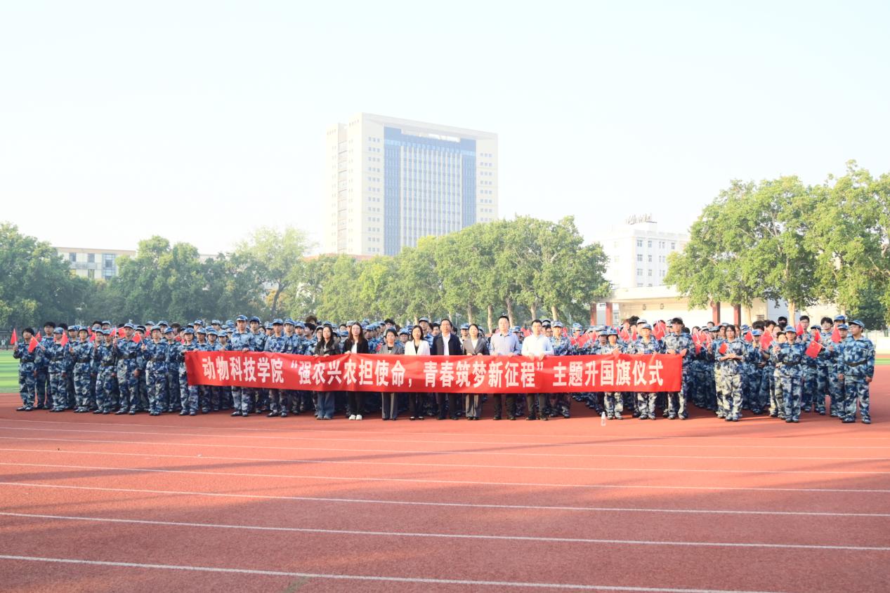 投注平台