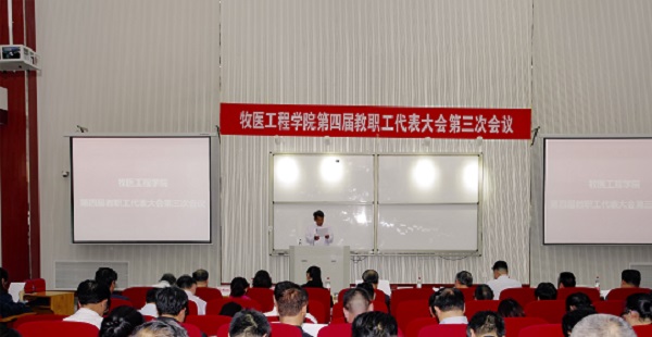投注平台