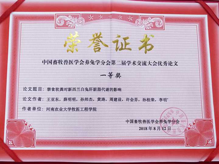 投注平台