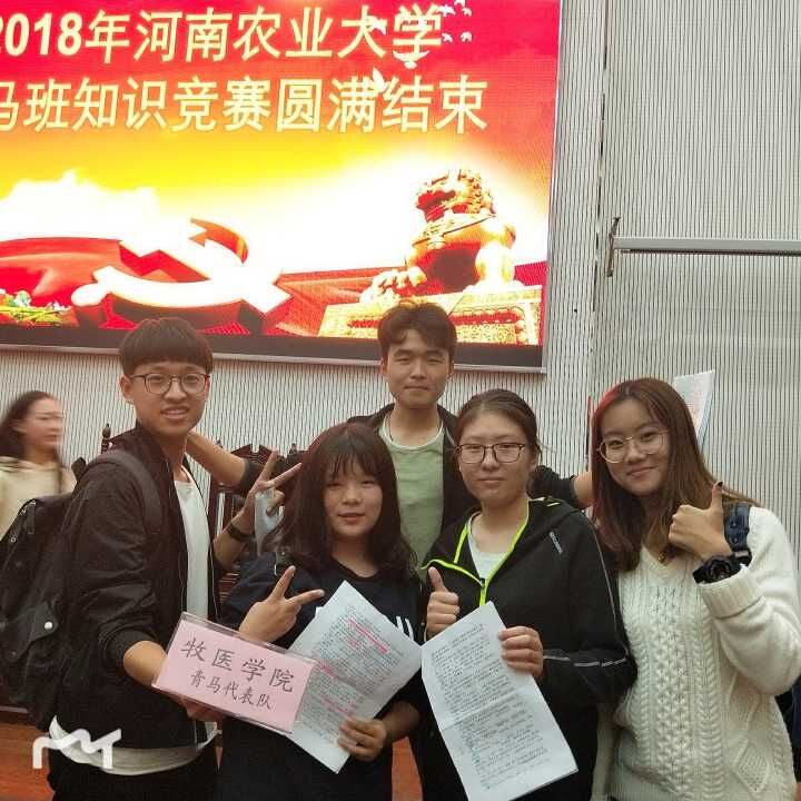投注平台