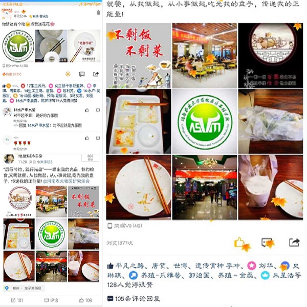 投注平台
