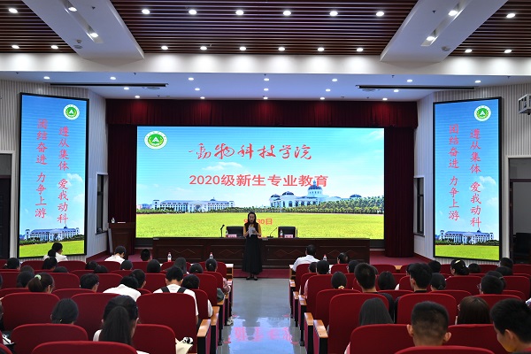 投注平台