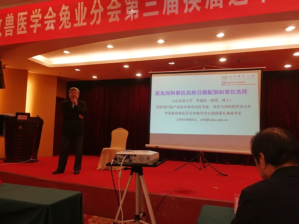 投注平台