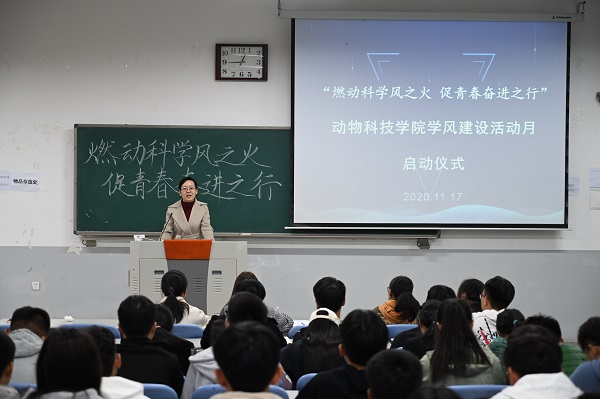 投注平台