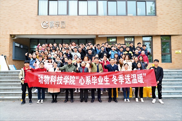 投注平台