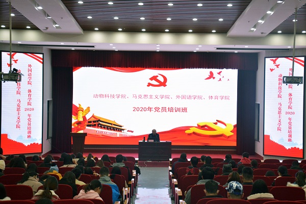投注平台