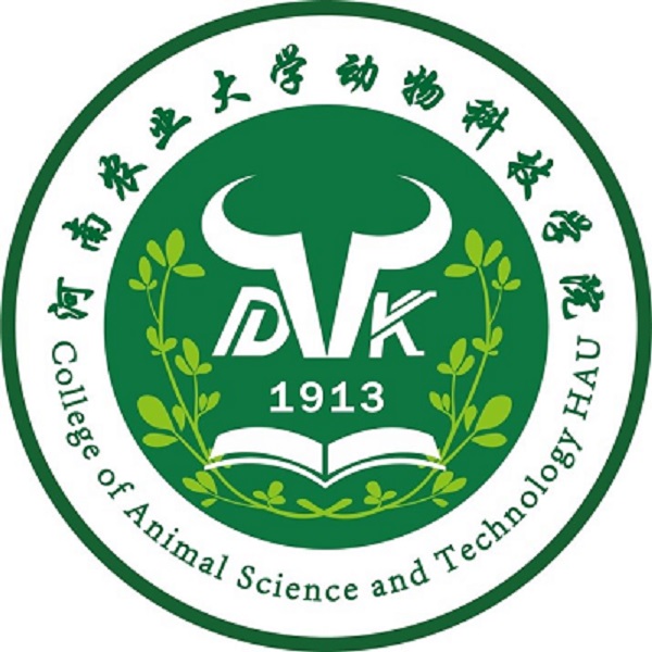 投注平台