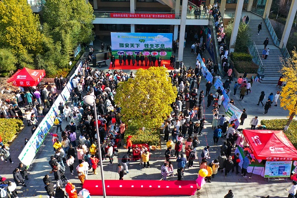 投注平台
