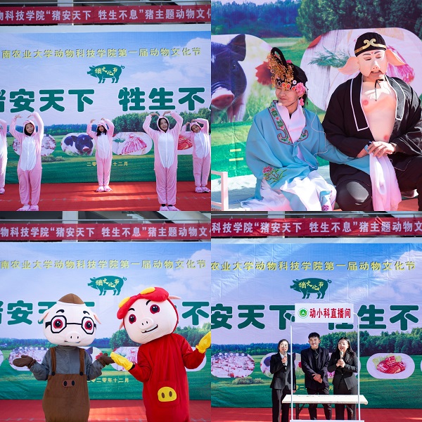 投注平台