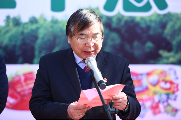 投注平台