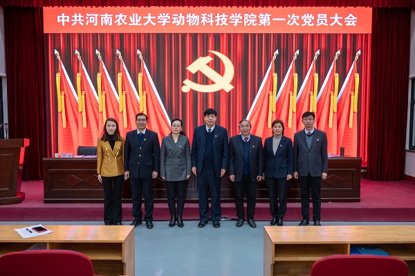 投注平台