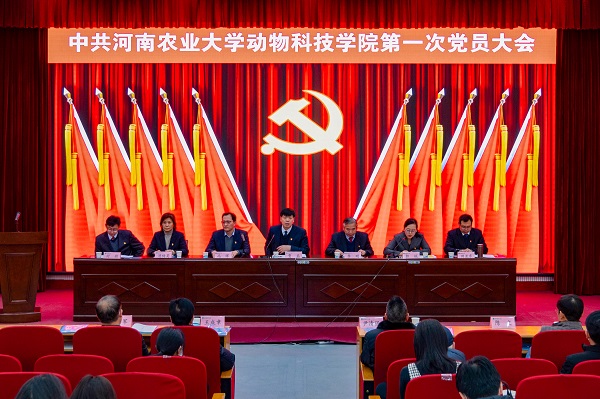 投注平台
