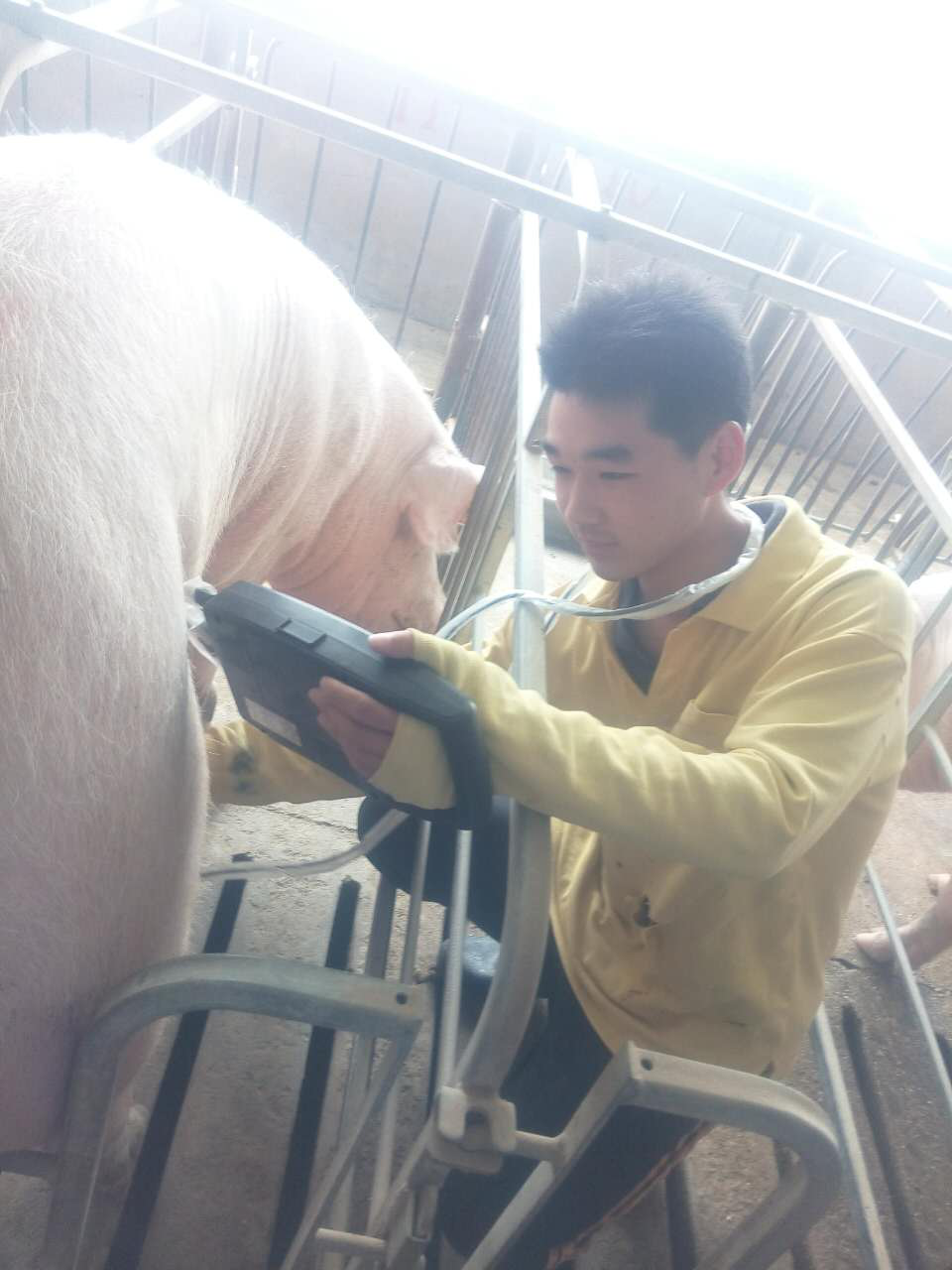 投注平台