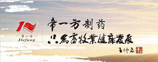投注平台