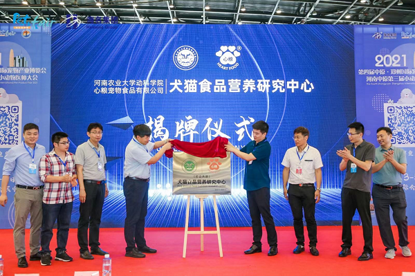 投注平台