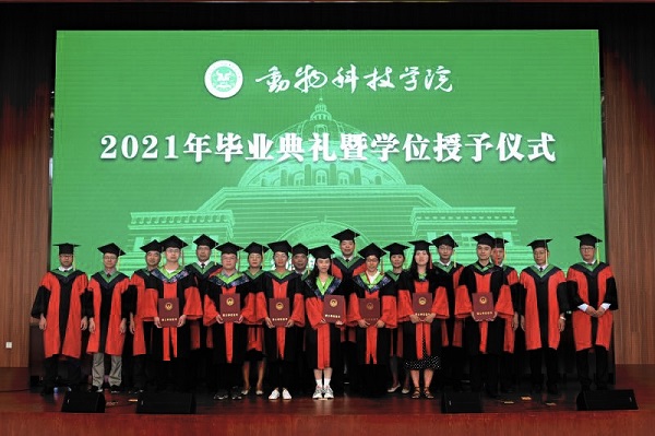 投注平台