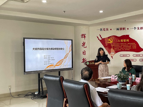 投注平台