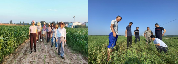 投注平台