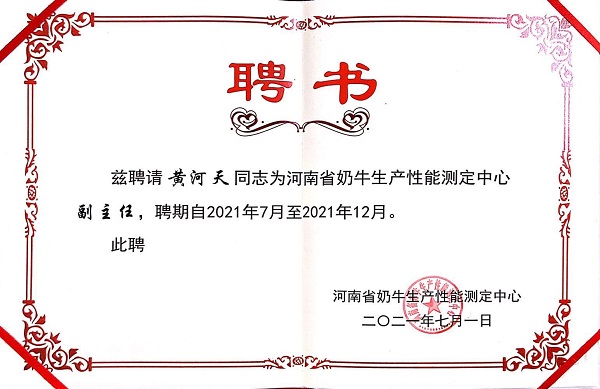 投注平台