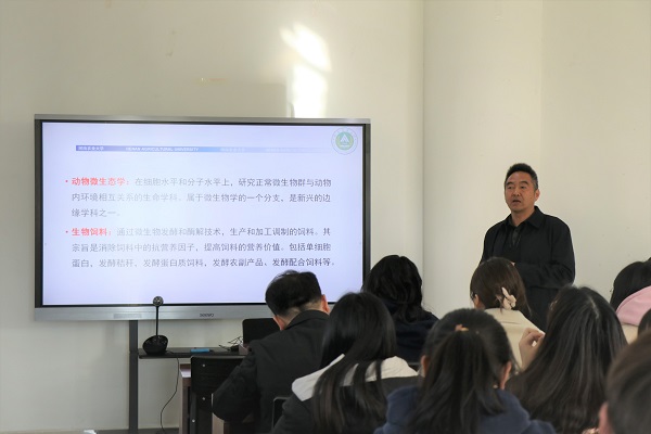 投注平台