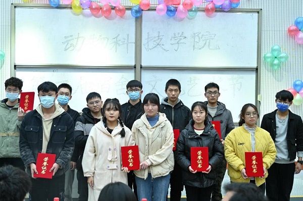 投注平台
