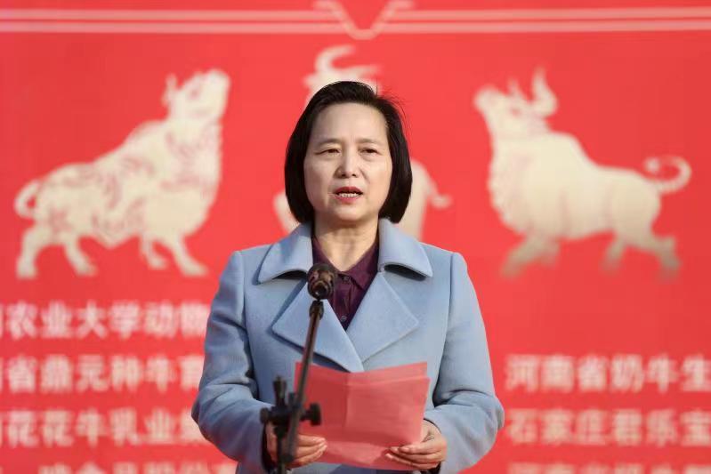 投注平台