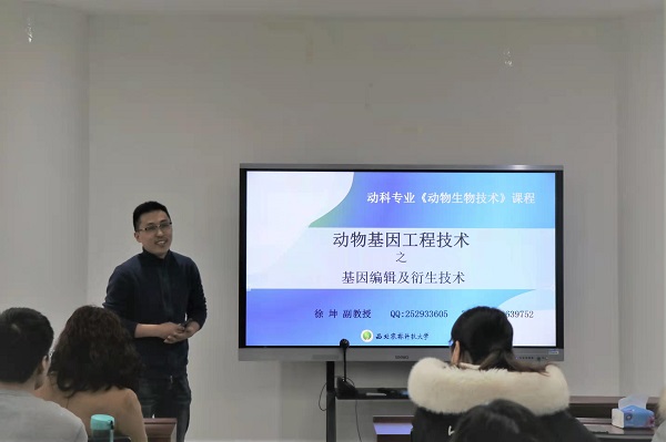 投注平台