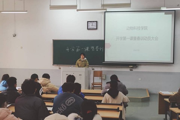 投注平台