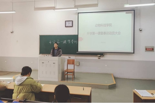 投注平台