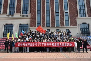 投注平台