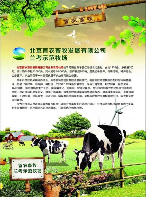 投注平台