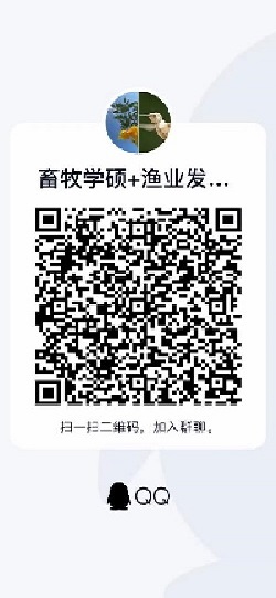 投注平台