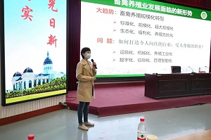 投注平台
