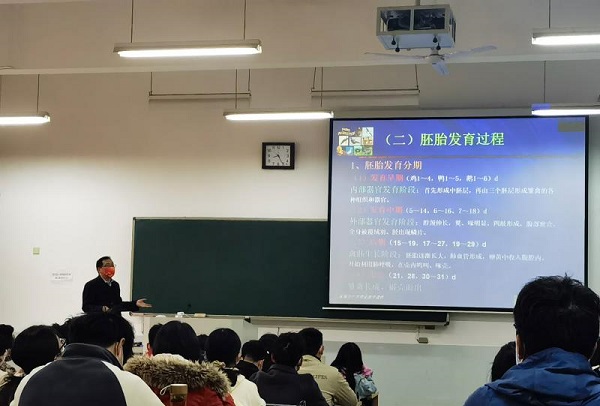 投注平台