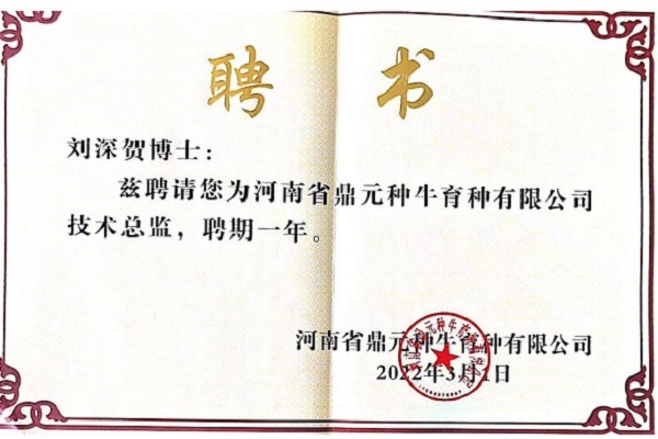 投注平台