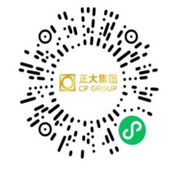 投注平台