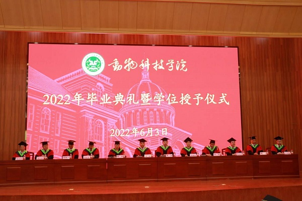 投注平台