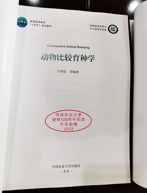 投注平台
