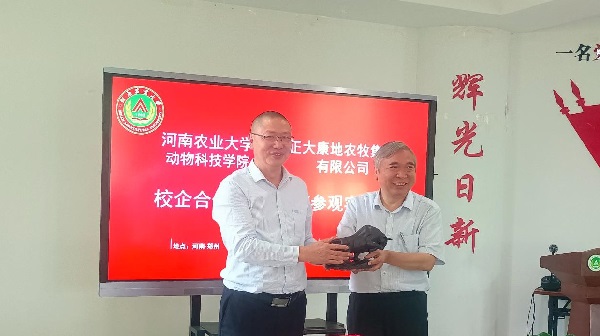 投注平台