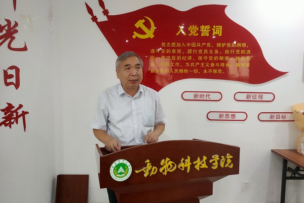 投注平台