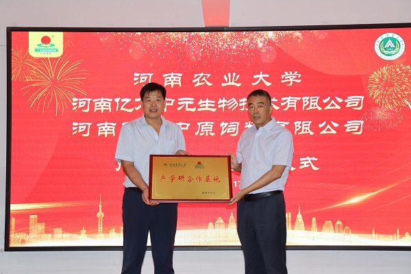 投注平台