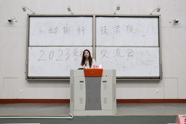 投注平台