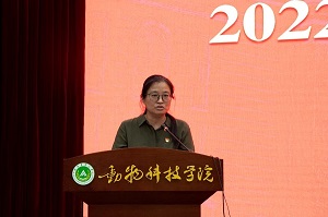 投注平台