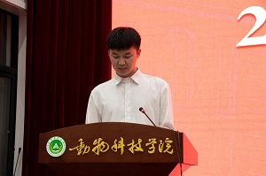 投注平台